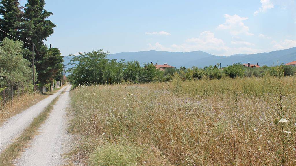 Land-/Forstwirtschaft zum Kauf 280.000 € 5.000 m² Grundstück Olympische Riviera