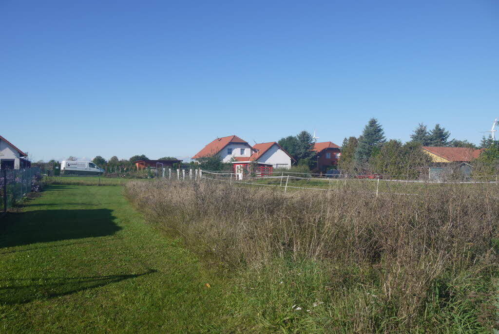 Einfamilienhaus zum Kauf - Erstbezug - Ansicht 5
