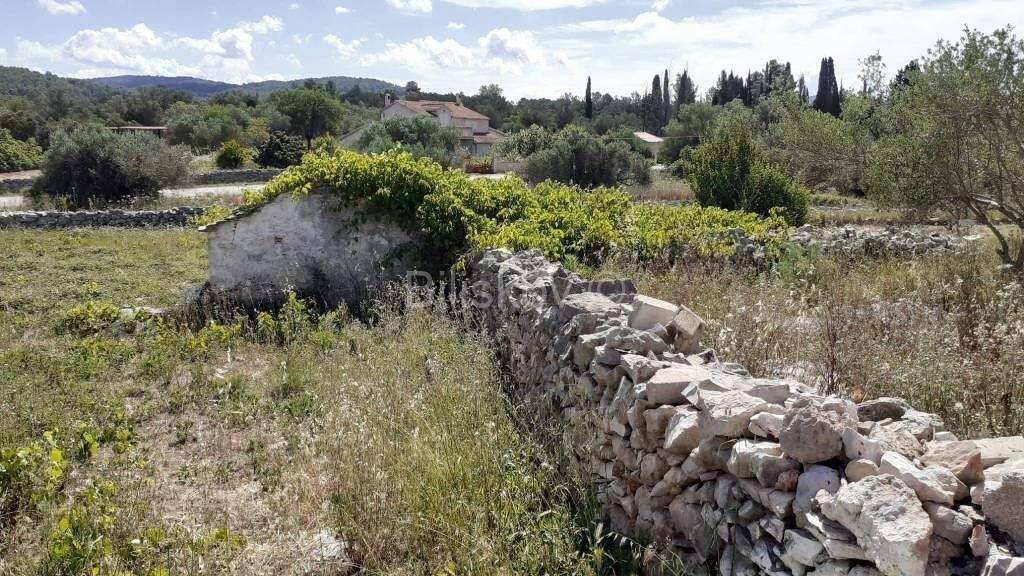 Land-/Forstwirtschaft zum Kauf 65.000 € Vela Luka