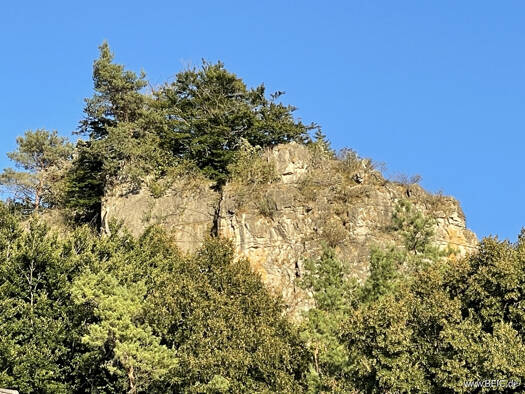 Hotel zum Kauf 1.675.000 € 20.000 m² Grundstück Mürlenbach 54570