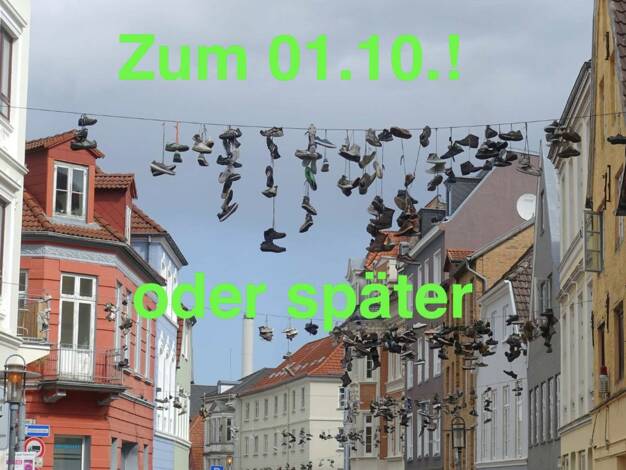 Wohnung zur Miete 440 € 1 Zimmer 33 m² 1. Geschoss frei ab 01.10.2026 Norderstraße 115 Altstadt Flensburg 24939