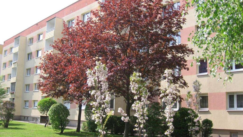 Wohnung zur Miete 260 € 3 Zimmer 58,8 m² EG frei ab sofort Schulstraße 11 Borna 04552