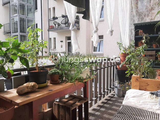 Studio zur Miete Tauschwohnung 1.110 € 3 Zimmer 78 m² 1. Geschoss Stühlinger Freiburg im Breisgau 79106