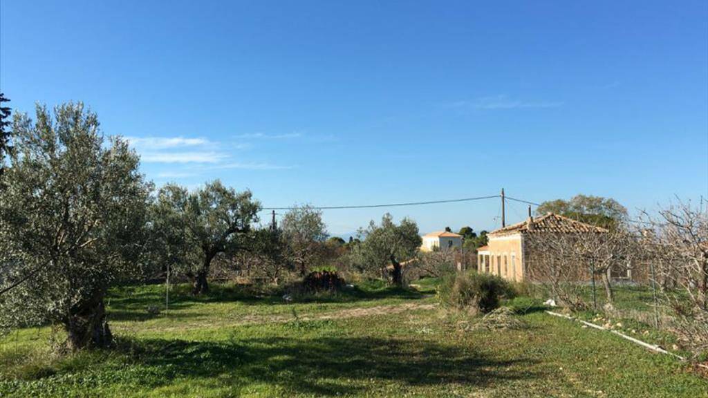 Land-/Forstwirtschaft zum Kauf 267.000 € 6.458 m² Grundstück Attika