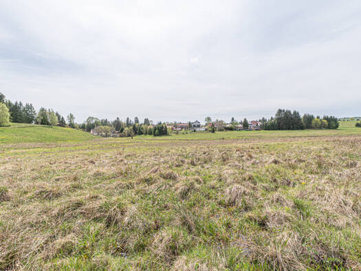 Grundstück zum Kauf 449.700 € 10.855 m² Grundstück Benneckenstein Oberharz am Brocken 38877