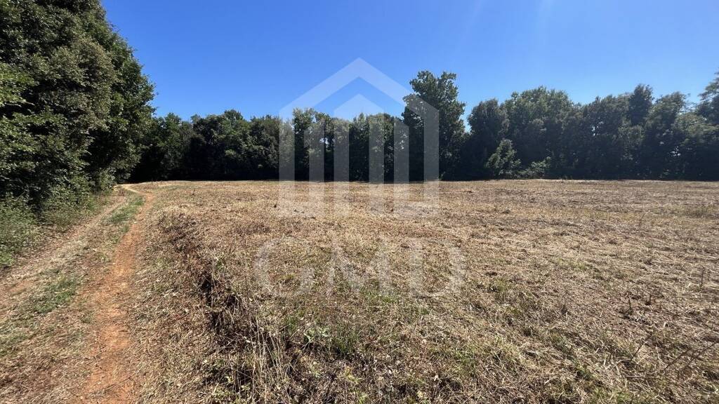 Land-/Forstwirtschaft zum Kauf 31.800 € Sisan