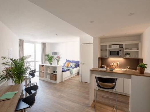 Studio zur Miete 943 € 1 Zimmer 31 m² frei ab 01.02.2026 Kasernenstraße 16-20 Aachen 52064