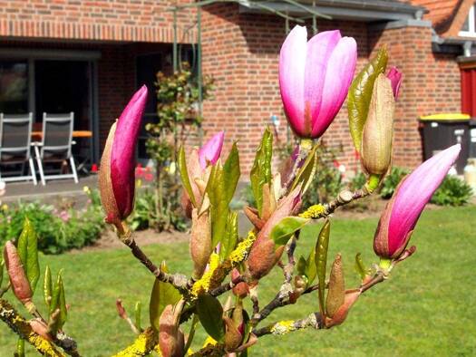 Einfamilienhaus zum Kauf provisionsfrei 557.000 € 5 Zimmer 203 m² 1.094 m² Grundstück Parchim 19370