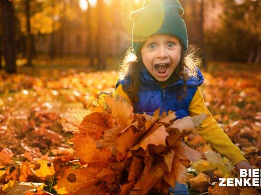 Einfamilienhaus zum Kauf 734.226 € 4 Zimmer 153 m² 525 m² Grundstück Stiepel Bochum 44797