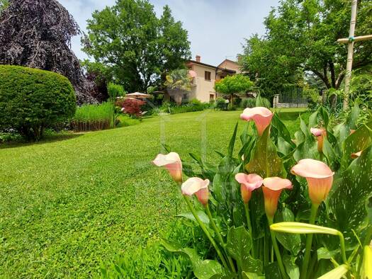 Einfamilienhaus zum Kauf 540.000 € 6 Zimmer 246 m² 3.400 m² Grundstück Pazin 52000