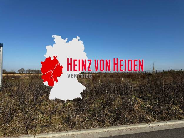 Einfamilienhaus zum Kauf provisionsfrei 569.712 € 5 Zimmer 151 m² 674 m² Grundstück Weyhausen 38554