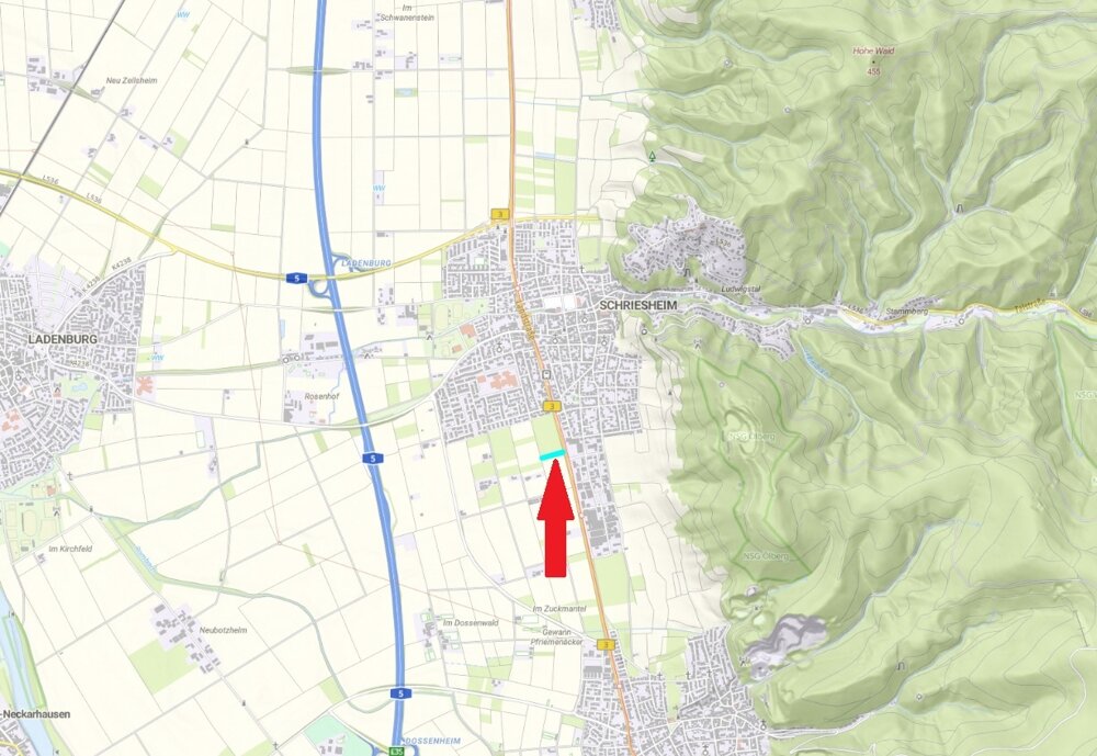 Land-/Forstwirtschaft zum Kauf 10.000 € 794 m²<br/>Grundstück Schriesheim Schriesheim 69198