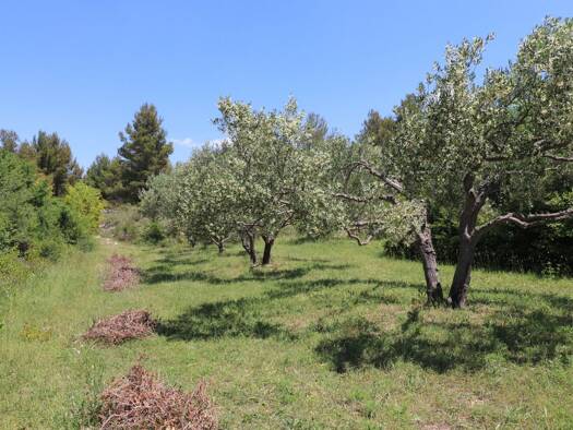 Grundstück zum Kauf 19.500 € 1.542 m² Grundstück Skradin 22000