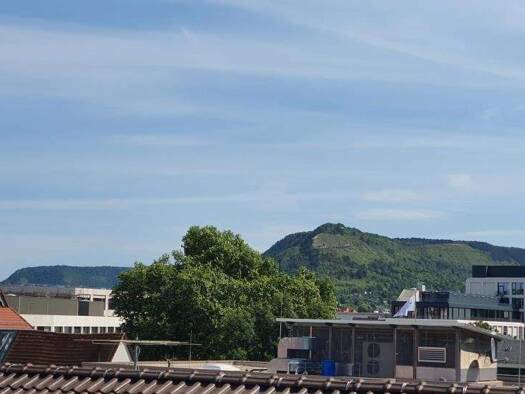 Stadthaus zum Kauf 1.150.000 € 494 m² 191 m² Grundstück Unterm Markt 3 Zentrum Jena 07743