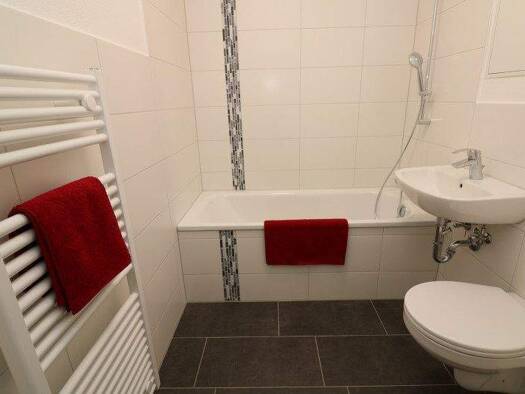 Wohnung zur Miete 379 € 3 Zimmer 54 m² 3. Geschoss Paul-Müller-Straße 4 Freiberg 09599