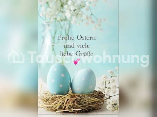 Studio zur Miete Tauschwohnung 400 € 1 Zimmer 30 m² Altstadt Erfurt 99084