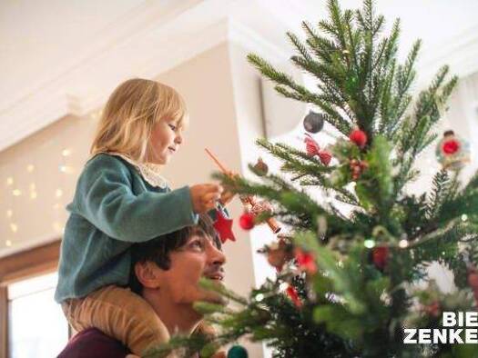 Einfamilienhaus zum Kauf - Erstbezug provisionsfrei 549.870 € 4 Zimmer 124,5 m² 450 m² Grundstück Grünmorsbach Haibach 63808