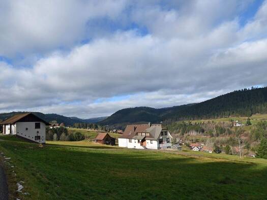 Haus zum Kauf 349.000 € 6 Zimmer 117 m² 18.193 m² Grundstück Mitteltal Baiersbronn 72270