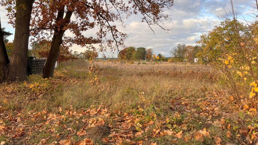 Grundstück zum Kauf 689.000 € 1.716 m² Grundstück Wolzig Heidesee 15754