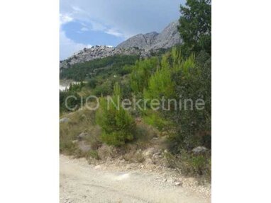 Land-/Forstwirtschaft zum Kauf 2.900.000 € Omis center