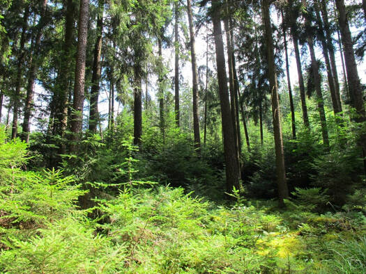 Land-/Forstwirtschaft zum Kauf 139.000 € 18.015 m² Grundstück Hundberg Taufkirchen 84574
