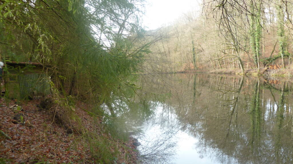 Teich-/Fischwirtschaft zum Kauf 129.000 € 11.310 m² Grundstück Biedershausen 66917