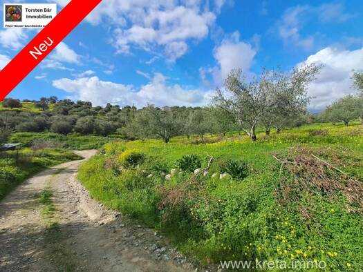 Land-/Forstwirtschaft zum Kauf 25.000 € 2.101 m² Grundstück Municipality of Festos 704 00