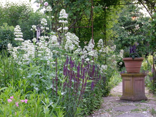 Grundstück zum Kauf 289.000 € 590 m² Grundstück Nottuln 48301