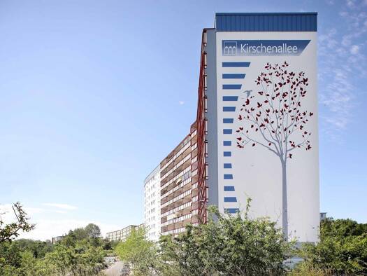 Wohnung zur Miete 383 € 2 Zimmer 57,1 m² 3. Geschoss Kirschenallee 7 Lindenberg Neubrandenburg 17033