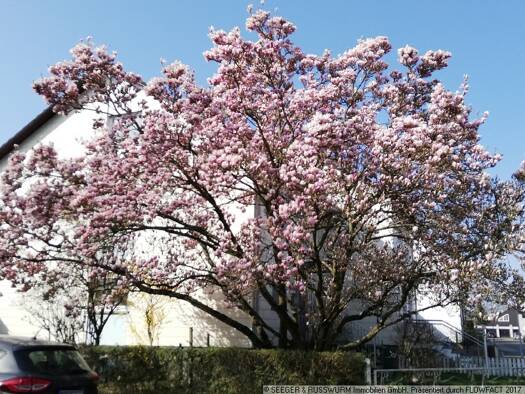 Doppelhaushälfte zum Kauf 395.000 € 5,5 Zimmer 163 m² 335 m² Grundstück Friedrichstal Stutensee 76297