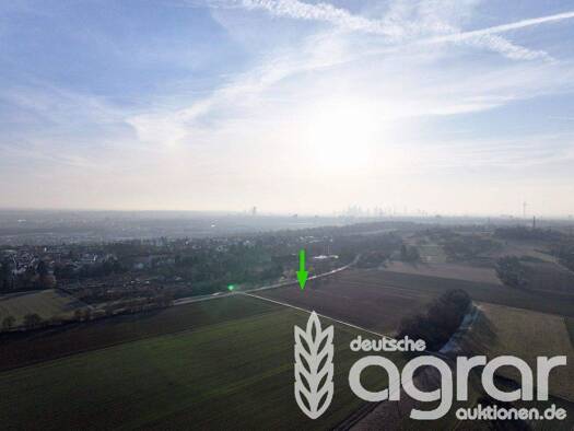 Land-/Forstwirtschaft zum Kauf 59.900 € 6.767 m² Grundstück Altstadt Frankfurt am Main 60388