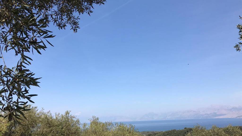 Land-/Forstwirtschaft zum Kauf 175.000 € 6.000 m² Grundstück Korfu