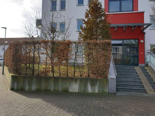 Terrassenwohnung zur Miete 900 € 2 Zimmer 60 m² Geschoss EG/4 frei ab sofort Schwalbach 65824