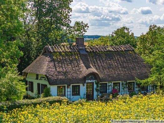 Haus zum Kauf 329.000 € 5 Zimmer 95 m² 17.580 m² Grundstück Steinbergkirche 24972