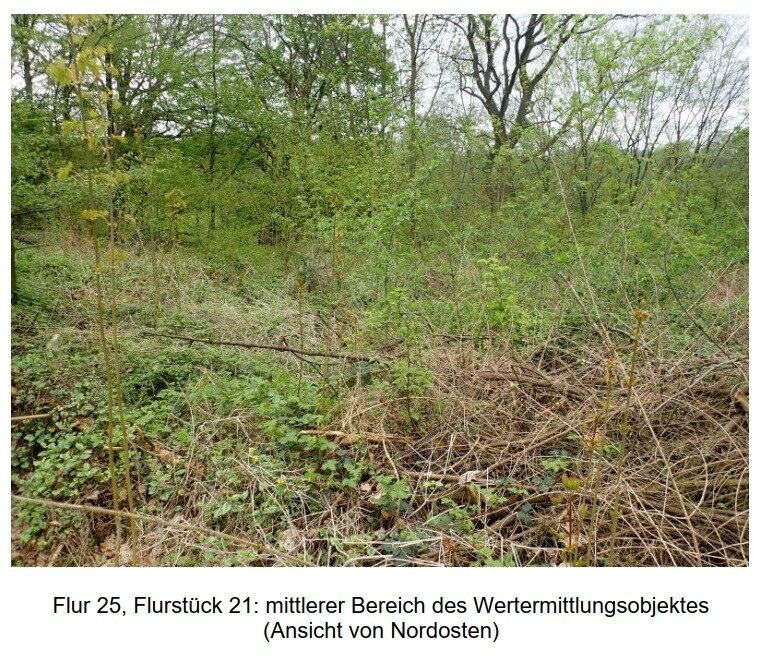 Land-/Forstwirtschaft zum Kauf provisionsfrei 1.500 € 1.131 m²<br/>Grundstück Kernstadt Holzminden 37603