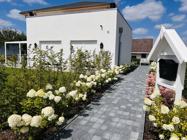 Einfamilienhaus zum Kauf provisionsfrei 649.000 € 6,5 Zimmer 212 m² 841 m² Grundstück Räbke Räbke 38375