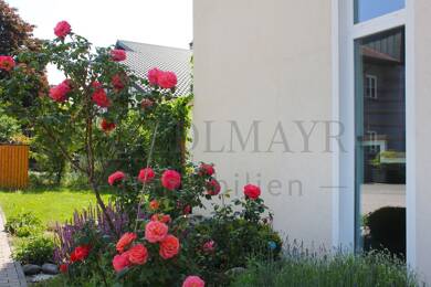 Doppelhaushälfte zum Kauf 870.000 € 5 Zimmer 139,1 m² 505,3 m² Grundstück frei ab 01.01.2026 Frieding Andechs 82346