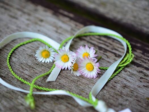 Doppelhaushälfte zum Kauf 561.132 € 5 Zimmer 128 m² 632 m² Grundstück Stadtmitte Herten 45699