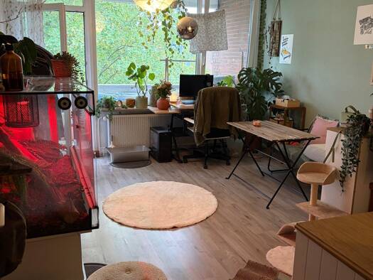 Wohnung zur Miete 460 € 1 Zimmer 43 m² Geschoss 3/3 frei ab 01.09.2026 Schwafheim Moers 47447