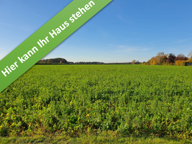 Einfamilienhaus zum Kauf provisionsfrei 341.290 € 5 Zimmer 166 m² 657 m² Grundstück Breite Straße Volkse Hillerse 38543
