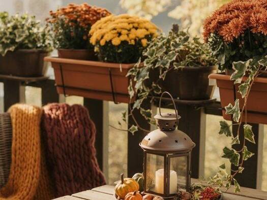 Terrassenwohnung zum Kauf 435.000 € 3 Zimmer 74,7 m² frei ab 31.10.2026 Plainfeld 5325