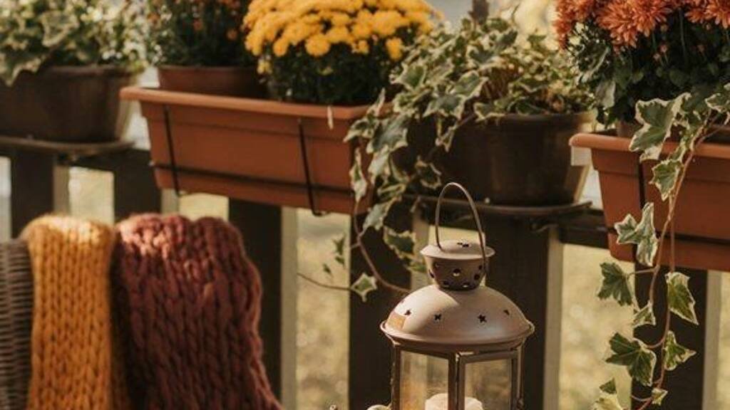 Terrassenwohnung zum Kauf 435.000 € 3 Zimmer 74,7 m² frei ab 31.10.2026 Plainfeld 5325