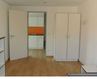 Wohnung zur Miete 470 € 1 Zimmer 54 m² 1 Geschosse frei ab 01.09.2025 Fuerstenberg Konstanz 78467