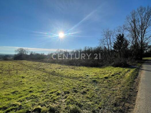 Landwirtschaftliche Fläche zum Kauf 25.500 € 1.800 m² Grundstück Budenheim 55257