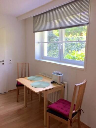 Studio zur Miete 550 € 1 Zimmer 30 m² Wartburgstraße 68 Unterliederbach Frankfurt am Main 65929