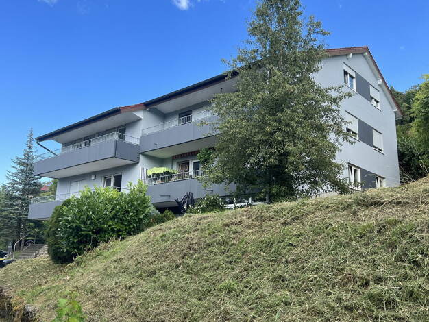 Mehrfamilienhaus zum Kauf provisionsfrei 1.649.999 € 24 Zimmer 510 m² 939 m² Grundstück Billigheim 74842