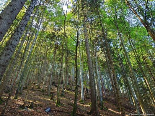 Land-/Forstwirtschaft zum Kauf 189.000 € 26.370 m² Grundstück Rottach Rottach-Egern 83700