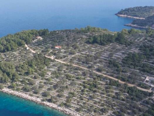 Land-/Forstwirtschaft zum Kauf 35.472 € Prapatna, 5 Vela Luka