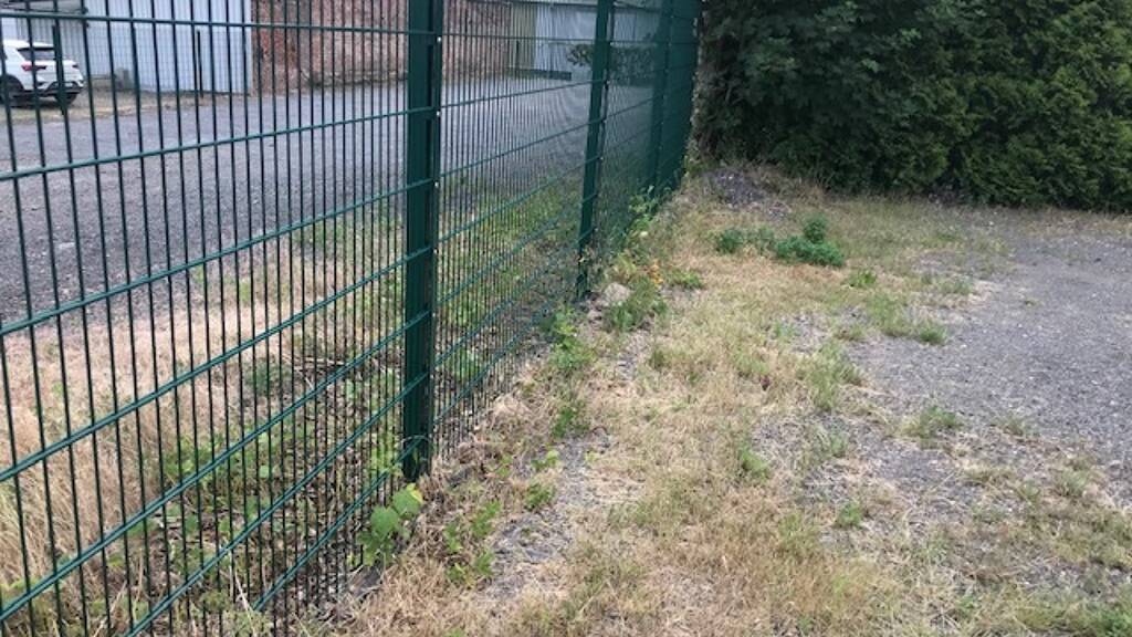 Grundstück zur Miete provisionsfrei 550 € 750 m² Grundstück Bahnhofsvorstadt Zwickau 08056