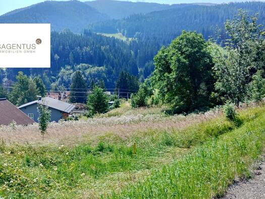 Land-/Forstwirtschaft zum Kauf 20.500 € 5.684 m² Grundstück Spital am Semmering 8685
